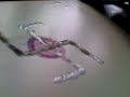 scuola