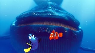 Finding Nemo Episode 11 Whale Chase À Procura De Nemo