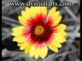 Another beautiful day! - Good Morning ecards - Everyday Greeting Cards Another beautiful day! - Good Morning ecards - Everyday Greeting Cards