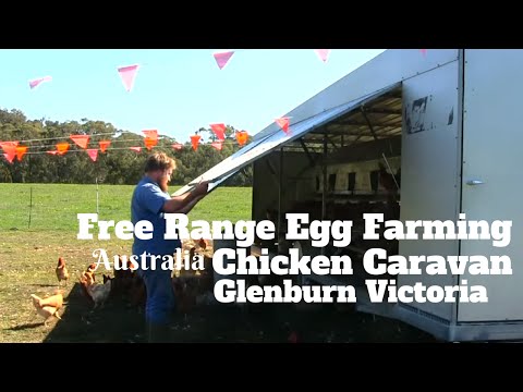 Free range Egg farming Australia.  Chicken Caravan Glenburn Victoria