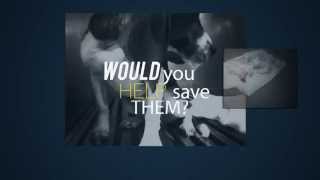 The BFP Cruelty-Cutter App
