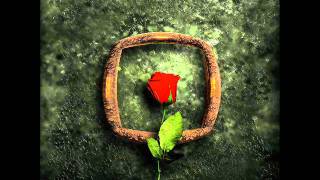 Watch Coil Rosa Decidua video