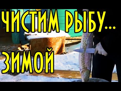 Булат в домашних условиях Булат в домашних условиях