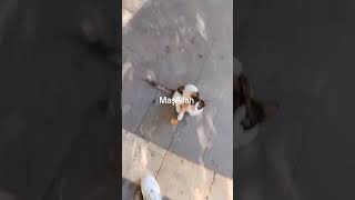 Hayvan Haklarnl Koryalm Masum Patilere Yimek Su Verelim Yuva Yapalım Hayvanlara Merhemet Gosderin