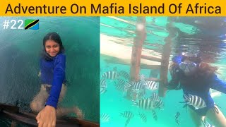 I Went On Ocean Tour Activites In Mafia Tanzania