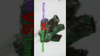 Encubri Menta Vs Lanza Menta