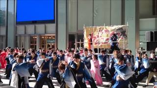 よさこい総踊り「GANKO‼」~第14回浜松がんこ祭(浜よさ)~2014