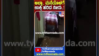 Heavy Rain : ಪಿರಿಯಾಪಟ್ಟಣ ತಾಲೂಕಿನಲ್ಲಿ ಮಳೆ ಅಬ್ಬರ.. ತಗ್ಗು ಪ್ರದೇಶದ ಮನೆಗಳಿಗೆ ನುಗ್ಗಿದ ನೀರು| #Tv9D