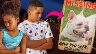 Calis Dog Got Stolen, What Happens Is Shocking