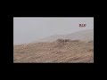 Kurds Ambush ISIS Near Sinjar, Iraq