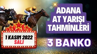 1 Kasım 2022 Salı Adana At Yarışı Tahminleri