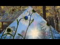 "Russian Nature & .... " Claudia Brucken, Blank & Jones "Unknown Treasure" mpg