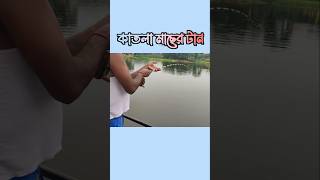 How To Catch A Fish