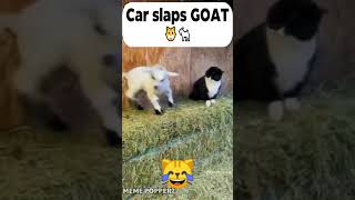 Slappy Cars