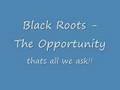 Black Roots - The Opportunity