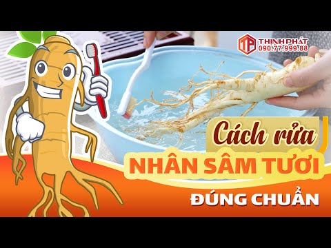 Hướng dẫn cách rửa nhân sâm tươi Hàn Quốc đúng chuẩn trước khi sử dụng