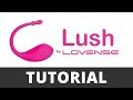 Lush 1ˢᵗ Gen by Lovense - Unboxing / Step-by-Step Guide / Tutorial