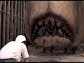 Animatronic