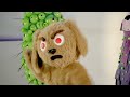 sfspca