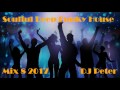 Soulful Deep Funky House Mix 8 2017 DJ Peter