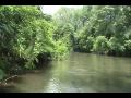 French Broad River Episode Three by Earthshine Nature's Wild Adventures with Steve