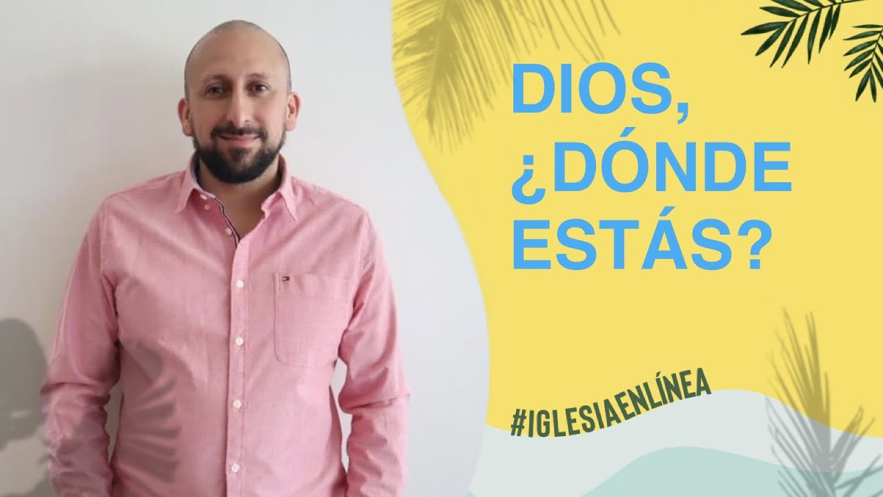 Todos los videos