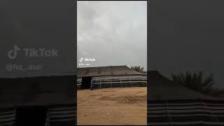 ٢٣ فبراير ٢٠٢٤