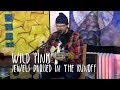 GARDEN SESSIONS: Wild Pink - Jewels Drossed In The Runoff 11/09/19 Underwater Sunshine Fest