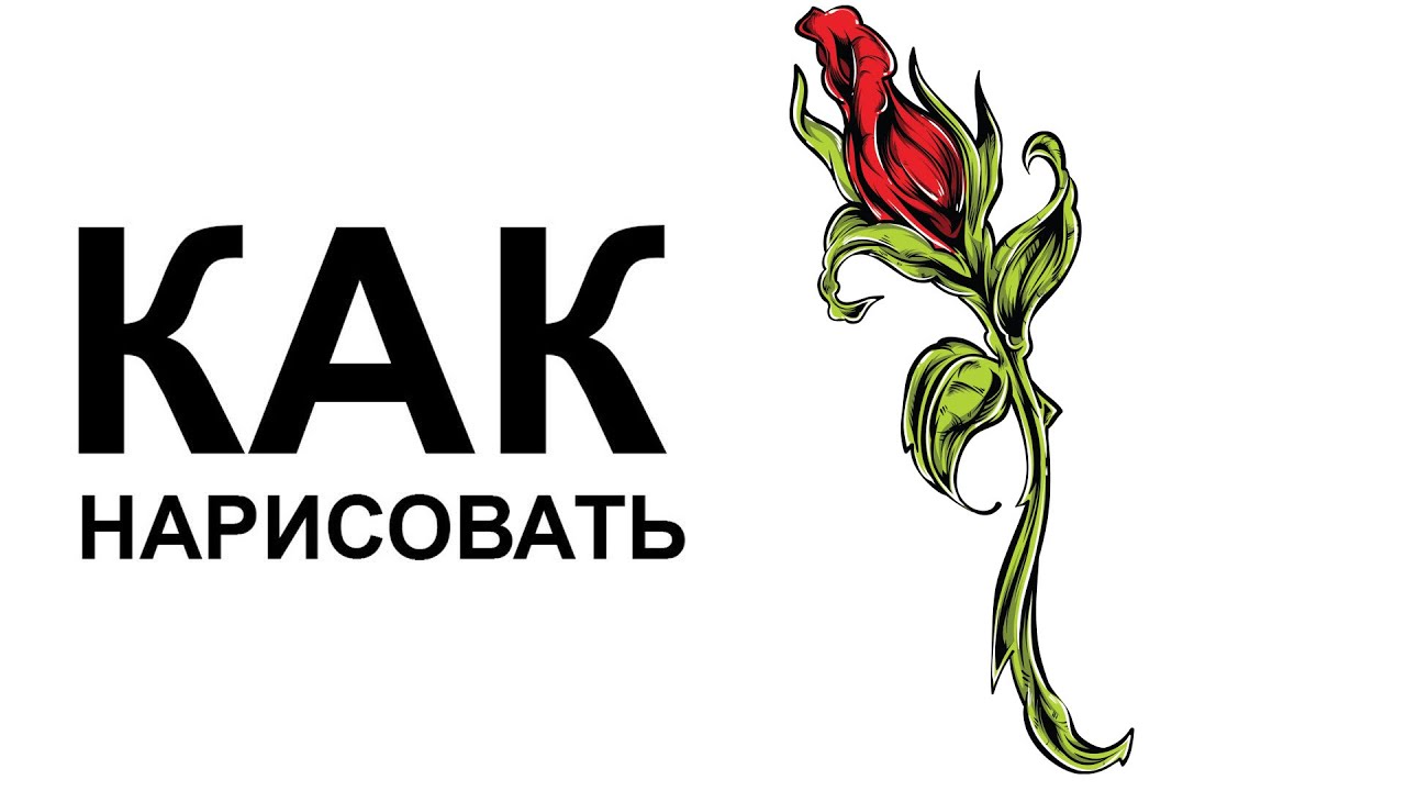 Как нарисовать чихуахуа карандашом поэтапно для начинающих Как нарисовать чихуахуа карандашом поэтапно для начинающих