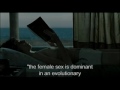 XXY - Movie Trailer