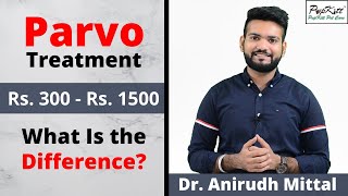 Parvo Virus Infection Treatment and Cost | Pet Care India | @Pupkitt Pet Care