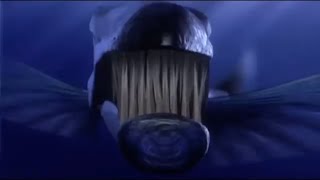 Finding Nemo Barracuda 3D Footage