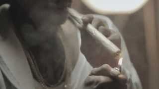 Watch Wiz Khalifa Gone video