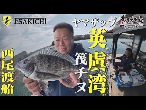 【ヤマザップ】早春の英虞湾で良型チヌ狙い！