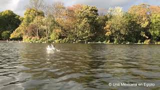 Hyde Park London,