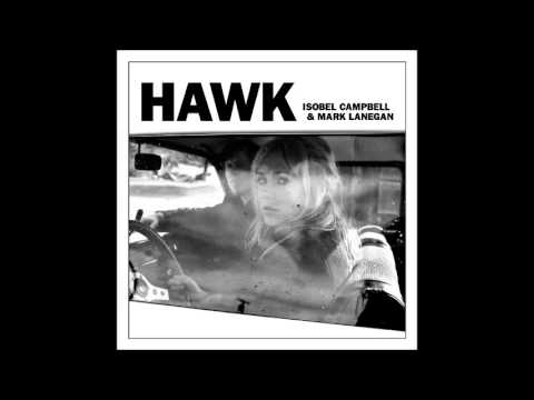 Hawk Video