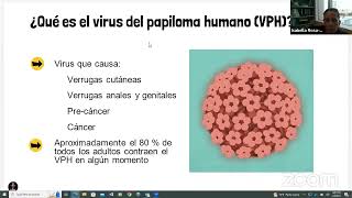 The Anchor Study Town Hall Live Stream Spanish
