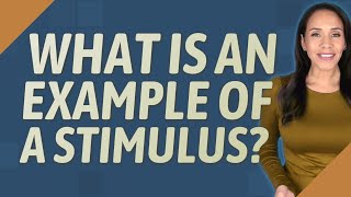 What Is An Example Of A Stimulus?