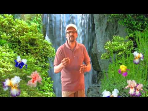 Chanda re mori patiyan le ja - singer Jack Kanhai