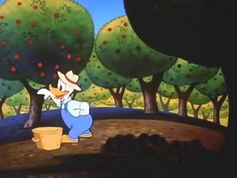 Donald Duck - Applecore