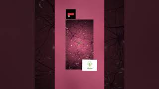 Flying Inside Human Eye.iris And Neurones. Body