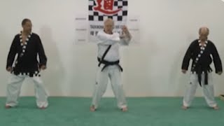 Introduction Au Taekwonkido