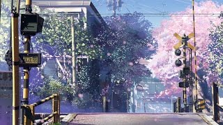 5 Centimeters Per Second: Transatlanticism, an AMV