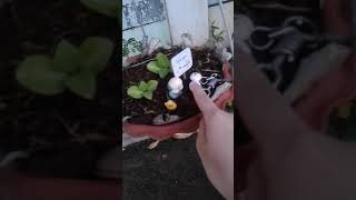 Mong Mọi Người Ủng Hộ Lên Youto Bạc