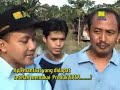 image Cara Sukses Budidaya Ikan Patin Dan Ikan Nila