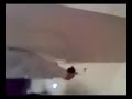 Dubai Arab Emirates Girl Great Shaking dance معلایه خطیر نار