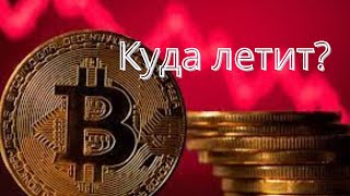 Куда Летит Биткойн?