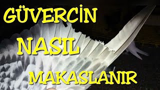 Güverci̇n Makaslama Detayli Anlatim