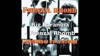 Watch Frenzal Rhomb Big Paranoia video