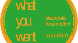 Silat Beksi & Florian Meffert - Model 2000
